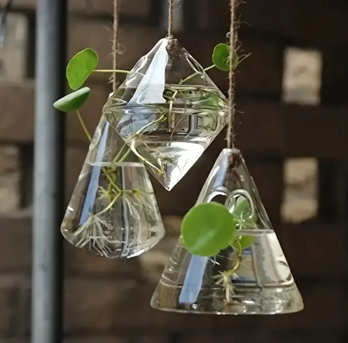 The Garden Lovers Collection - Thumbnail 3