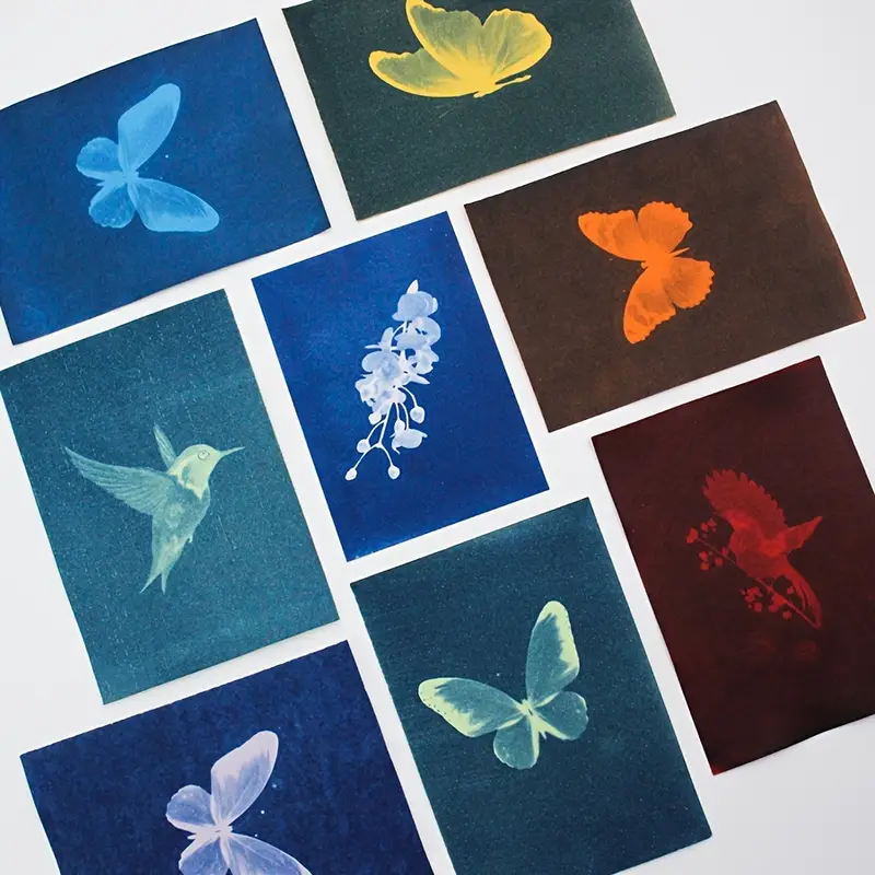 The Stay Wild Collection - Thumbnail 6